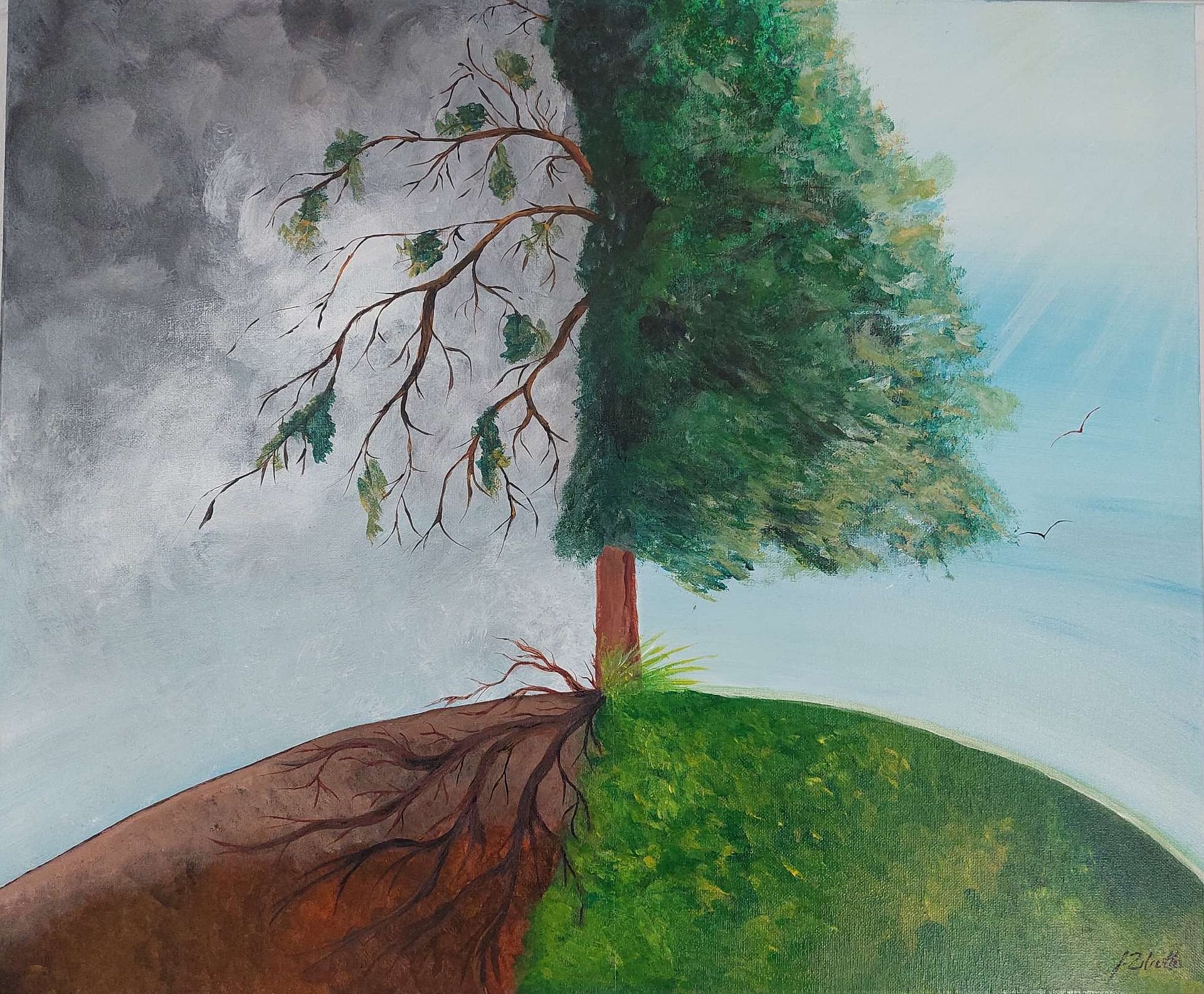 re-creation-sunshine-coast-art-group